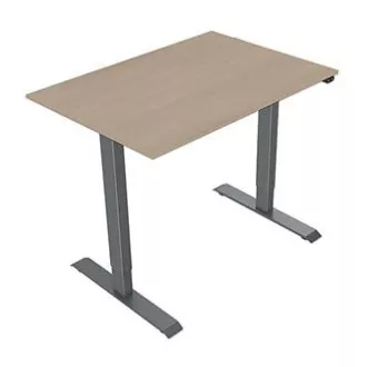 Masă de lucru cu înălțime reglabilă electric 75x140cm, gri, ergo Masă de lucru cu înălțime reglabilă electric 75x140cm, gri, ergo