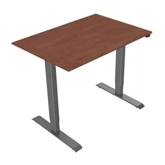 Masă de lucru cu înălțime reglabilă electric 75x120cm, gri, ergo Masă de lucru cu înălțime reglabilă electric 75x120cm, gri, ergo