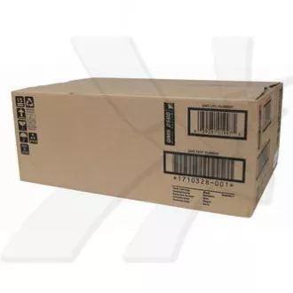 Konica Minolta P1710328001 - Toner, black (negru)