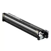 Ricoh D1773020 - Toner, black (negru)