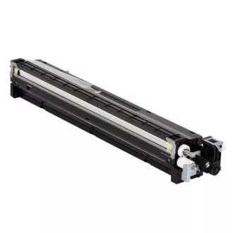 Ricoh D1773020 - Toner, black (negru)