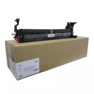 Ricoh D0892251 - unitate optica, color