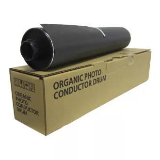Ricoh D0099510 - Toner, black (negru)