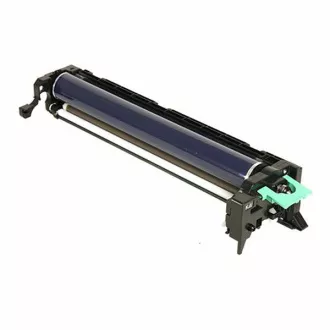 Ricoh B223-2042 - unitate optica, black (negru)