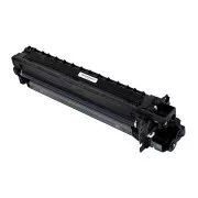 Ricoh D2970121 - unitate optica, black (negru)