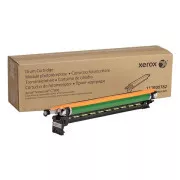 Xerox 113R00782 - unitate optica, black + color (negru + color)