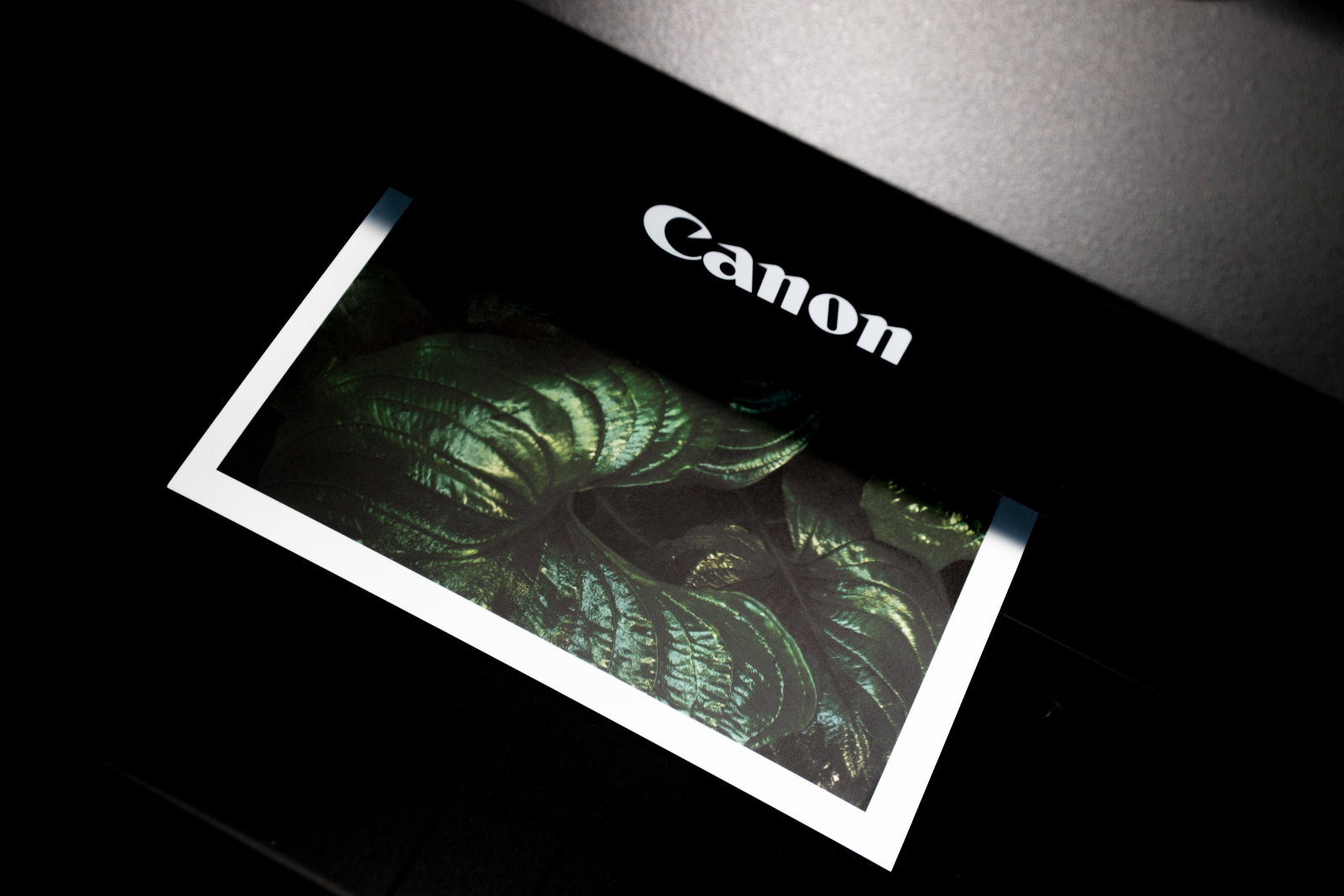 Imprimarea unei imagini pe o imprimantă Canon
